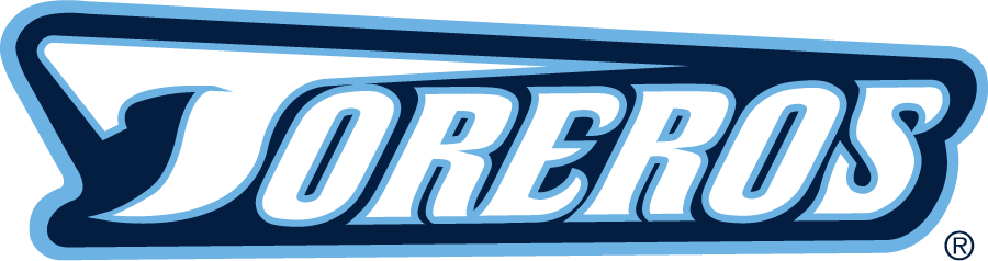 San Diego Toreros 2000-2006 Wordmark Logo diy iron on heat transfer